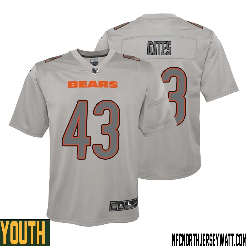 DeMarquis Gates No 43 Youth Gray Chicago Bears Atmosphere Fashion Game Jersey
