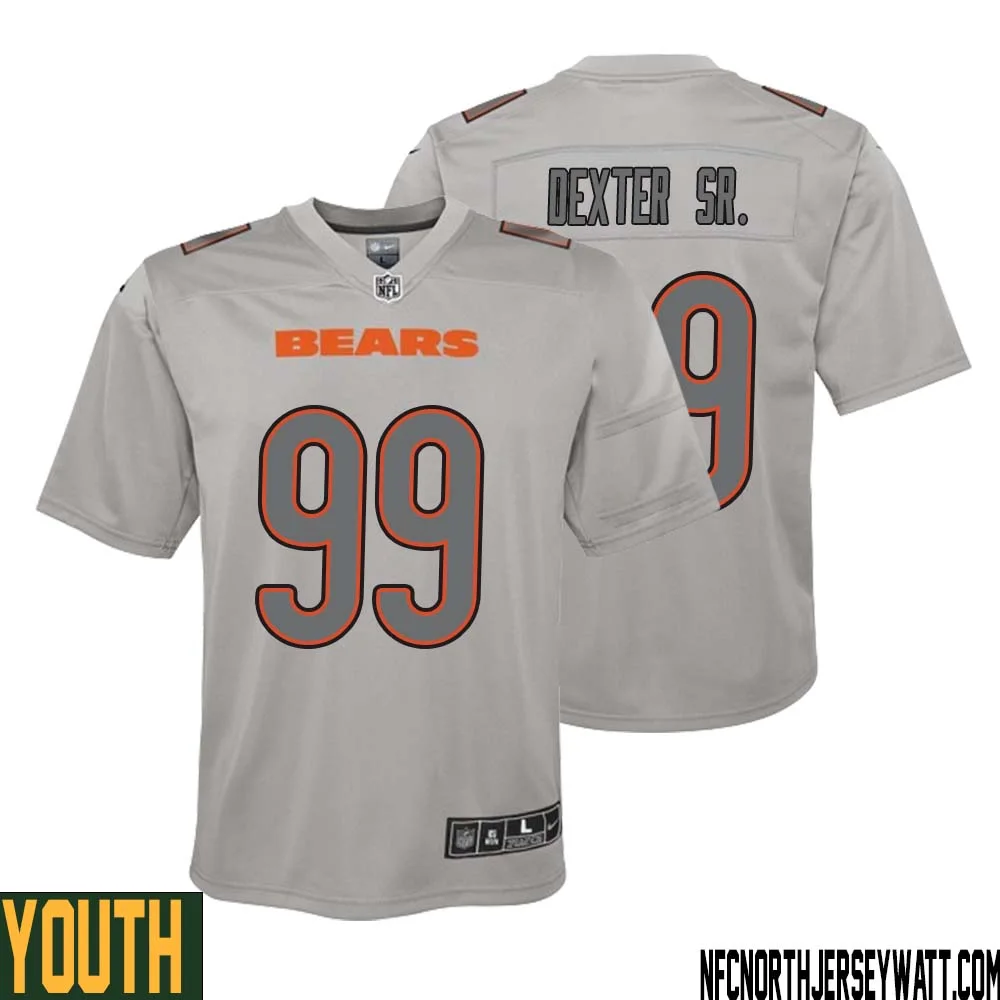 Gervon Dexter Sr. No 99 Youth Gray Chicago Bears Atmosphere Fashion Game Jersey 1