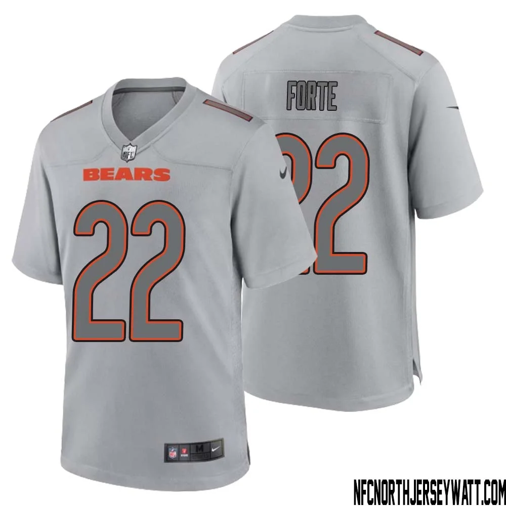 Matt Forte No 22 Men Gray Chicago Bears Atmosphere Fashion Game Jersey 1
