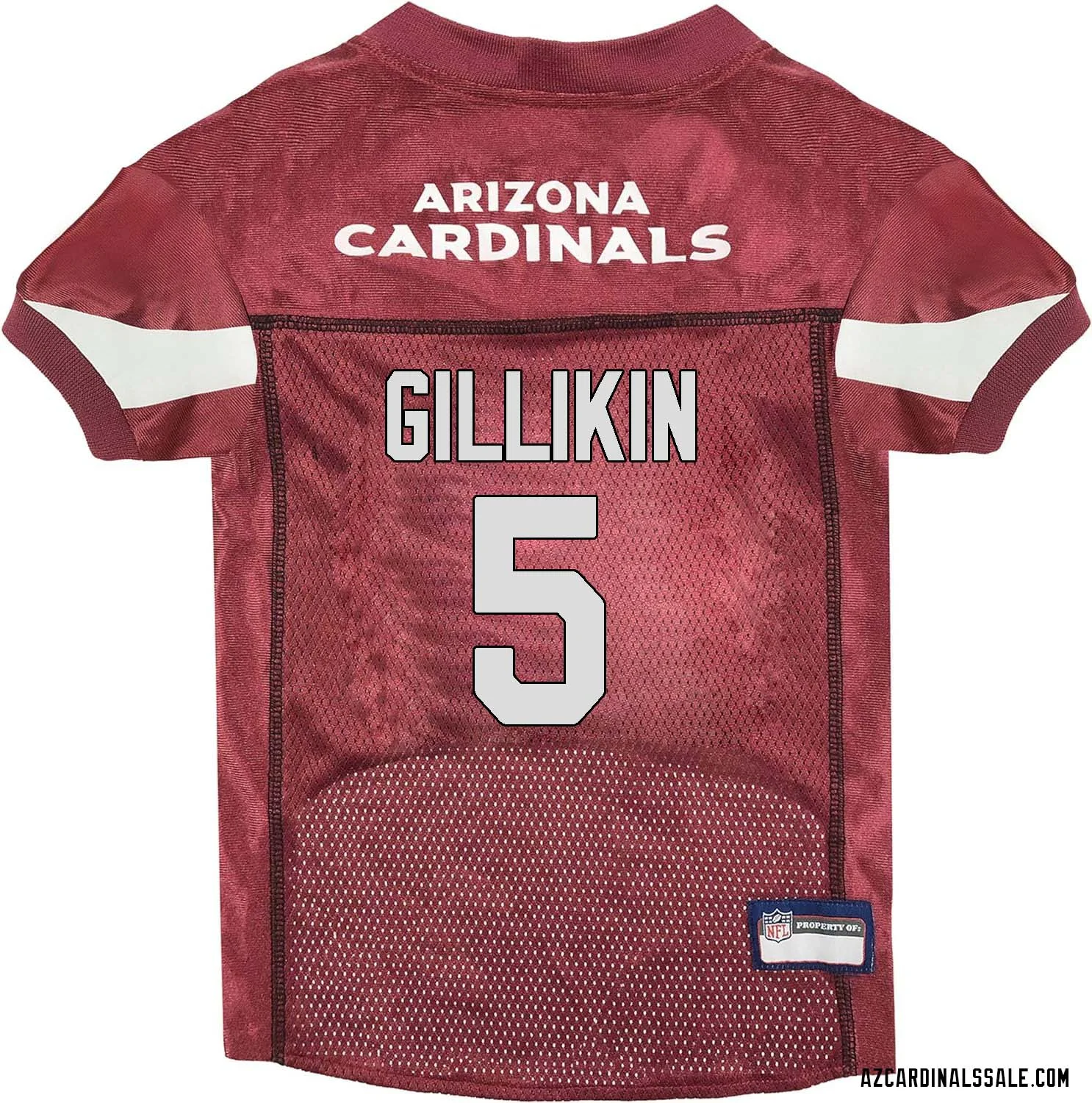 Blake Gillikin No 5 Arizona Cardinals Dog Red Jersey