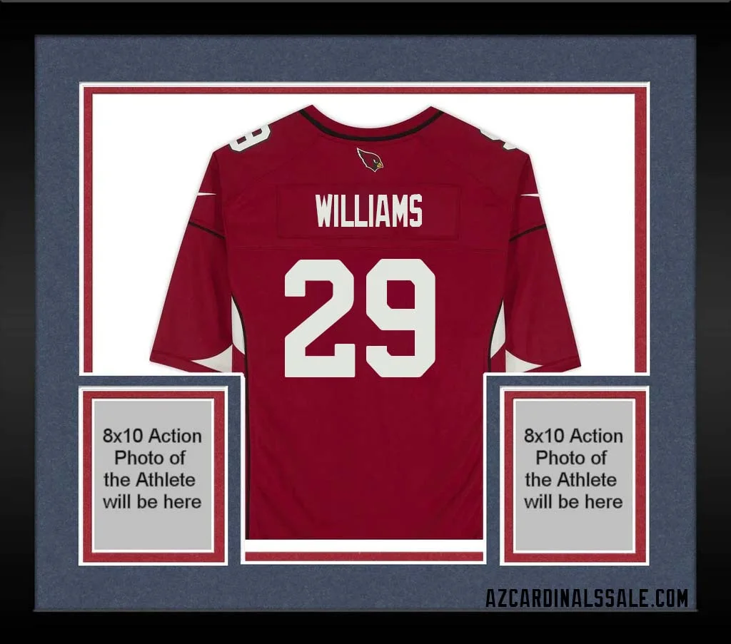 Damien Williams No 29 Arizona Cardinals Autographed Red Game Jersey