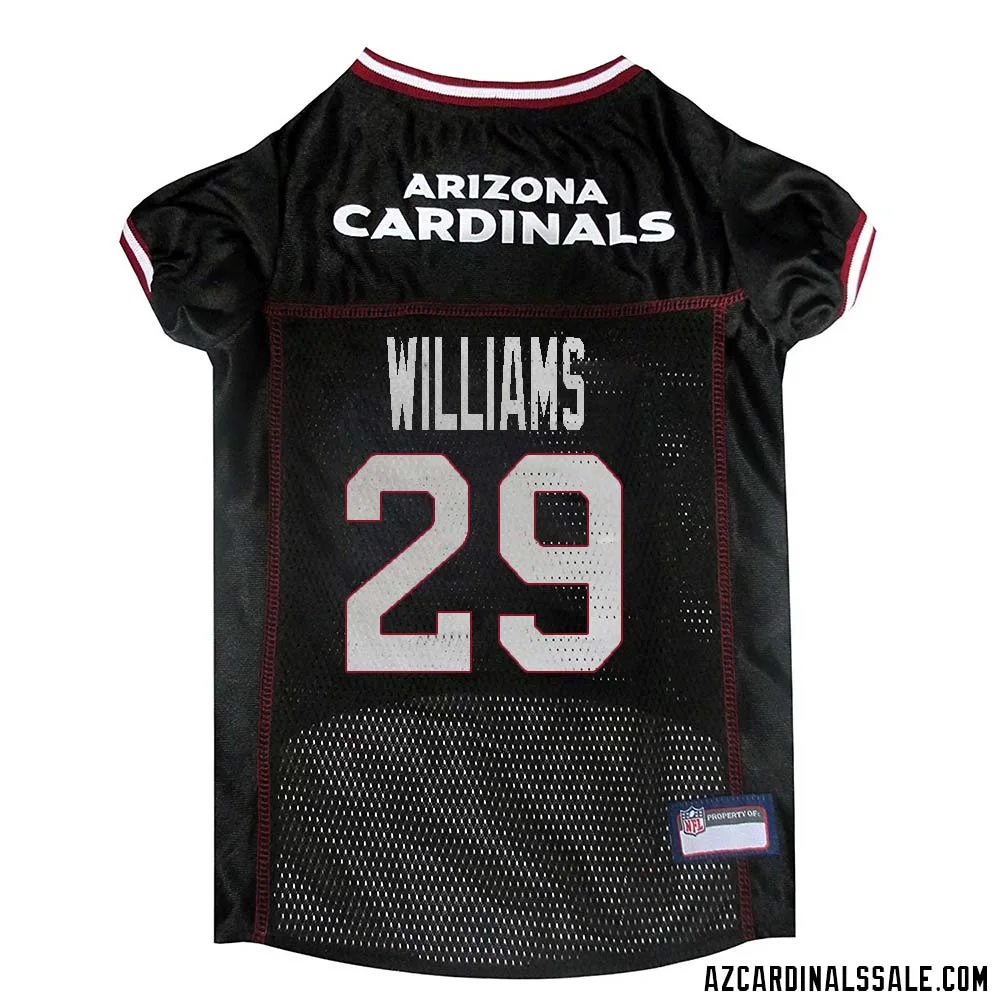 Damien Williams No 29 Arizona Cardinals Dog Black Jersey