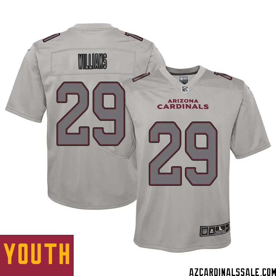 Damien Williams No 29 Youth Arizona Cardinals Gray Atmosphere Fashion Game Jersey