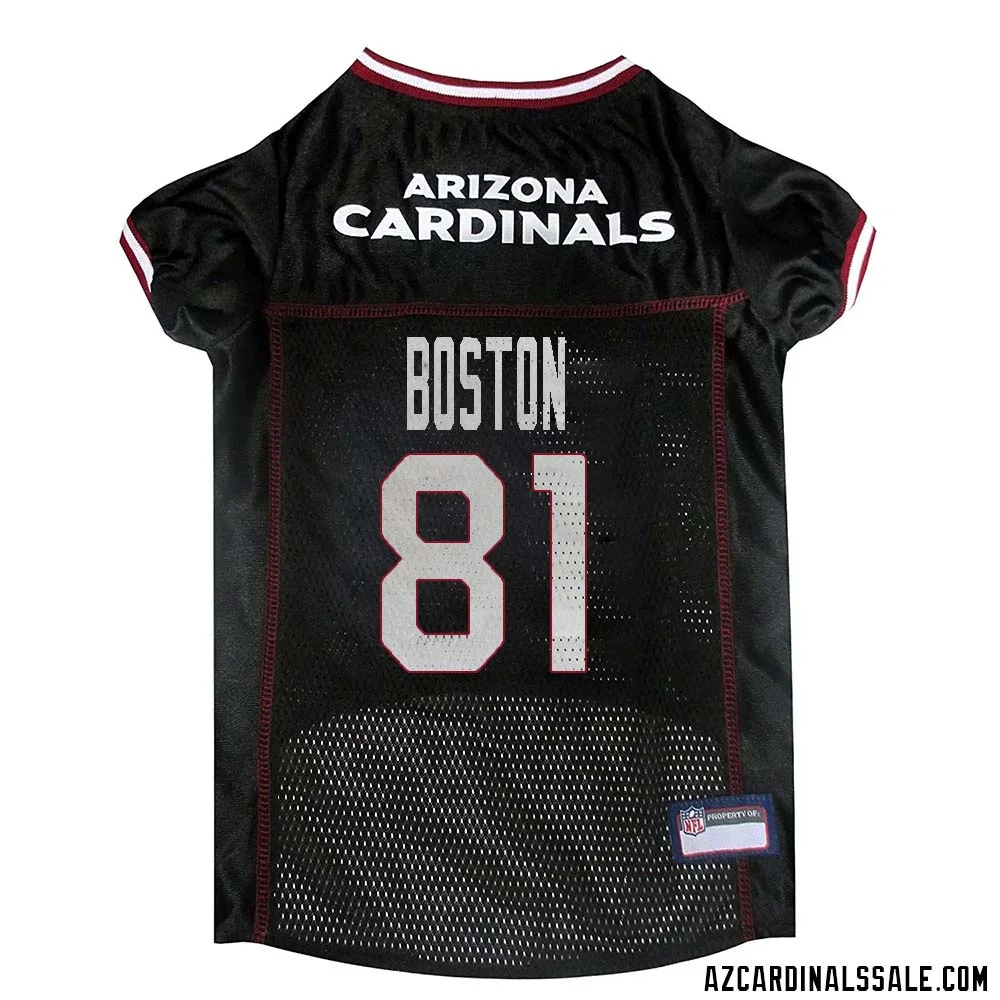 David Boston No 81 Arizona Cardinals Dog Black Jersey 1