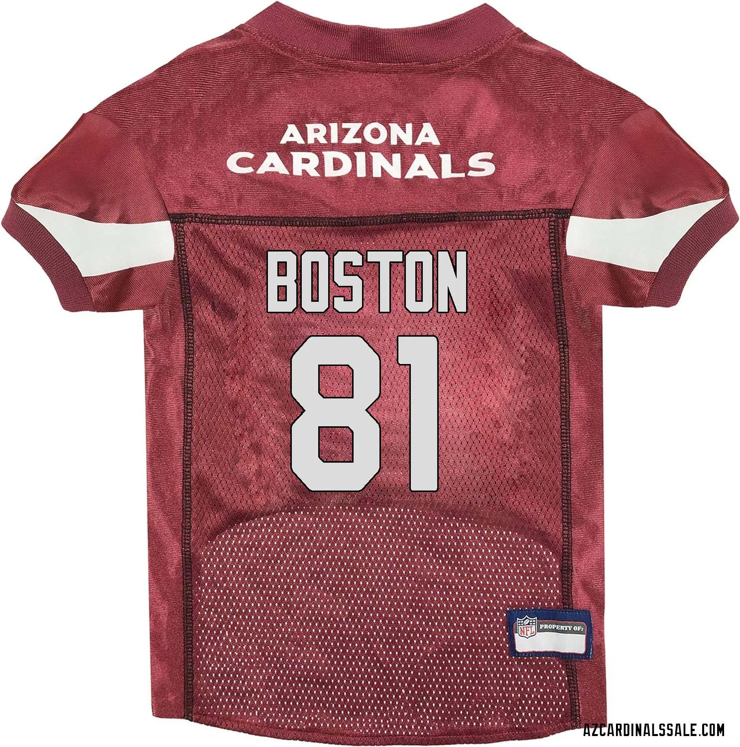 David Boston No 81 Arizona Cardinals Dog Red Jersey 1