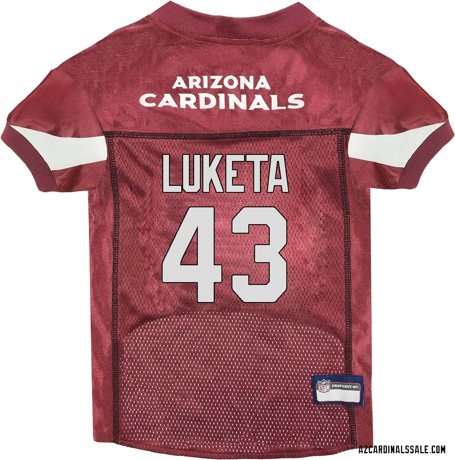 Jesse Luketa No 43 Arizona Cardinals Dog Red Jersey