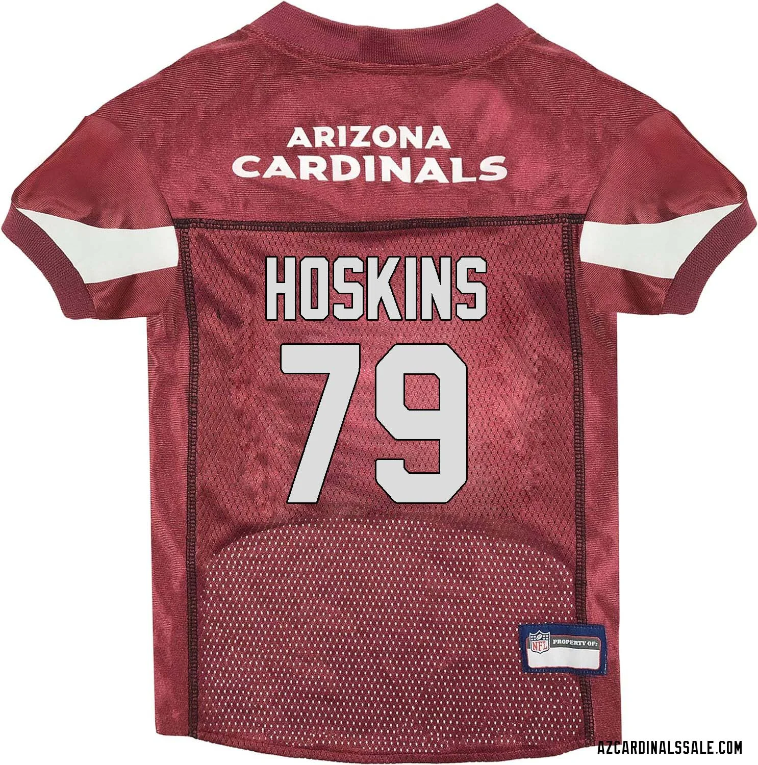 Phil Hoskins No 79 Arizona Cardinals Dog Red Jersey 1