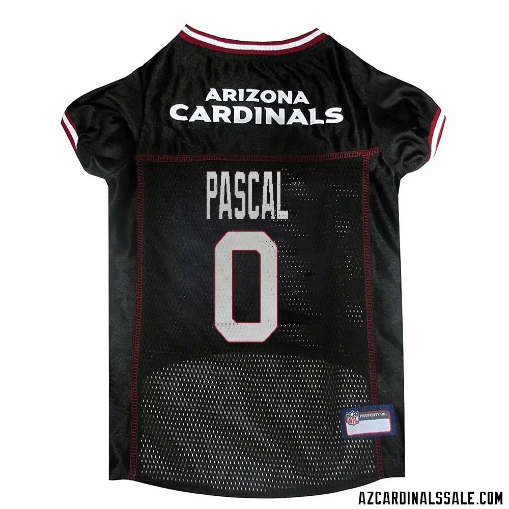 Zach Pascal No 0 Arizona Cardinals Dog Black Jersey 1