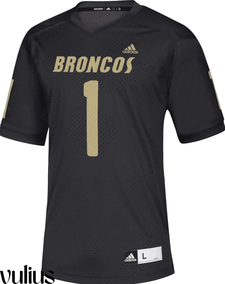 Custom Michigan Jerseys, Black Men's, University  Jersey