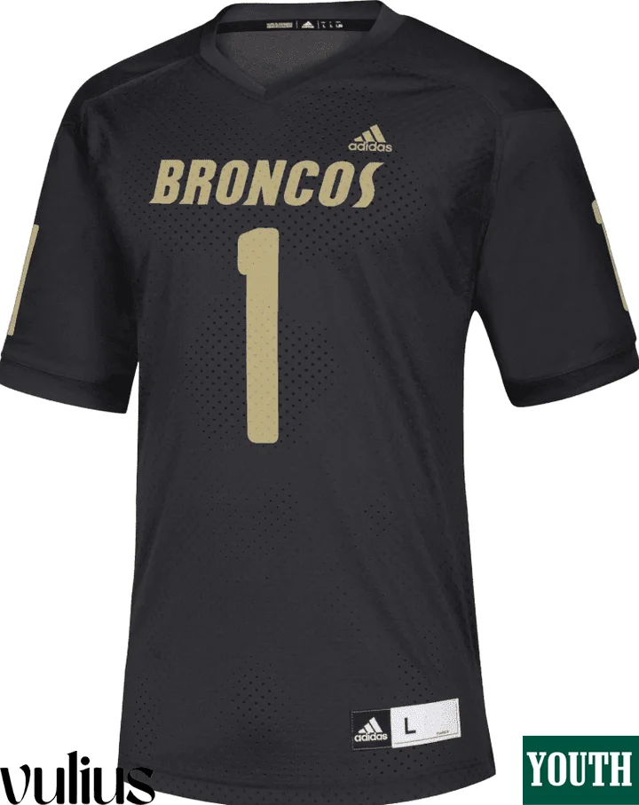 Custom Michigan Jerseys, Black Youth's, University  Jersey