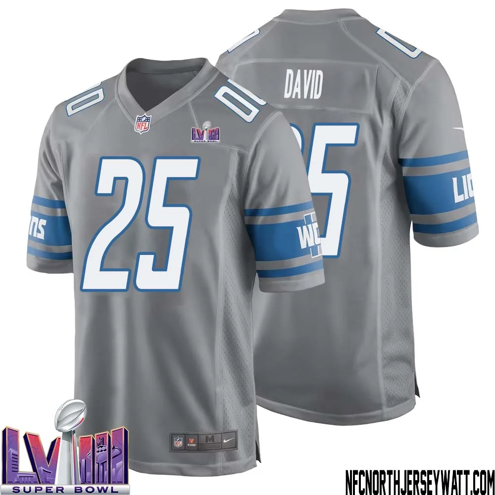 Jim David No 25 Men Grey Detroit Lions Player Super Bowl LVIII Alternate Game Jersey 1