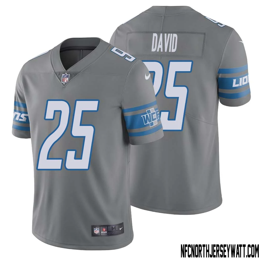 Jim David No 25 Men Steel Detroit Lions Vapor Untouchable Color Rush Limited Player Jersey