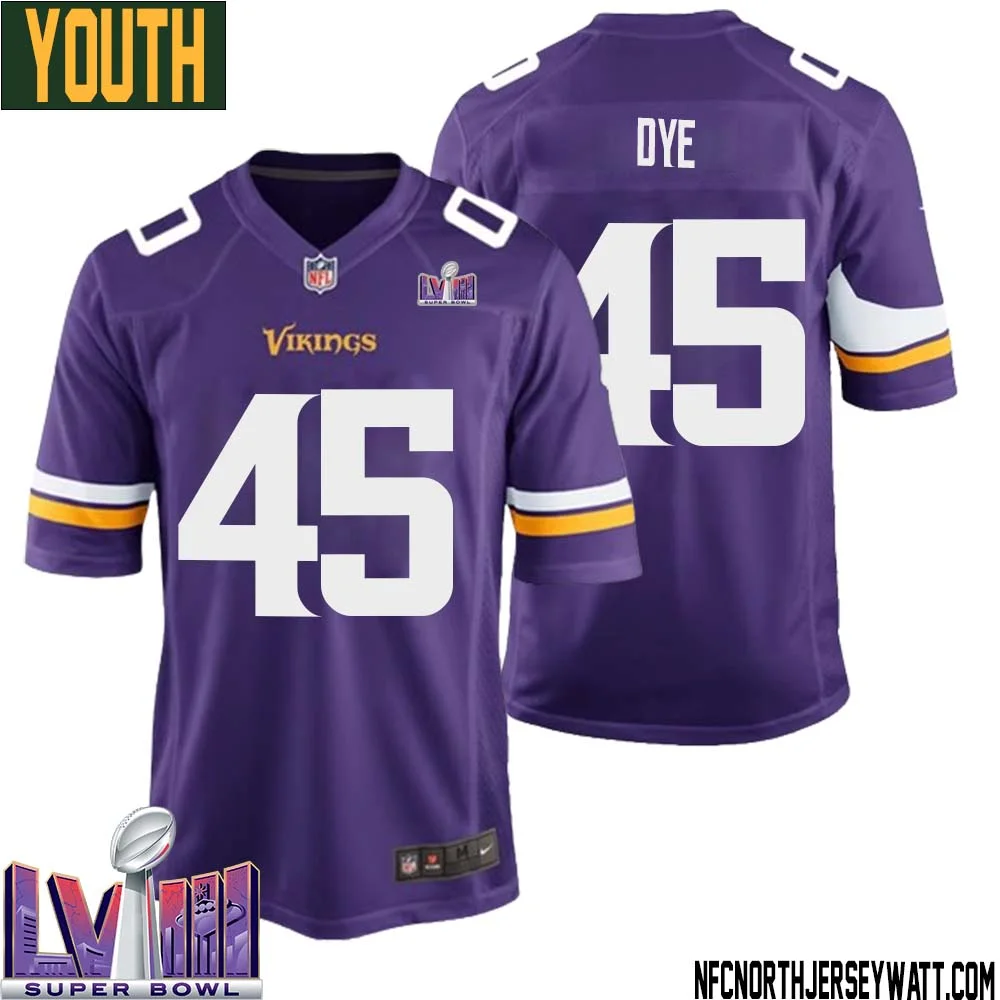 Troy Dye No 45 Minnesota Vikings Super Bowl LVIII Home Game Jersey Court Purple for Youth